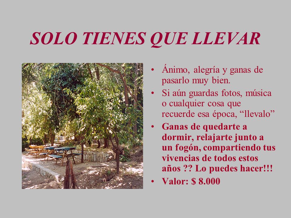 SOLO TIENES QUE LLEVAR Ánimo, alegría y ganas de pasarlo muy bien.