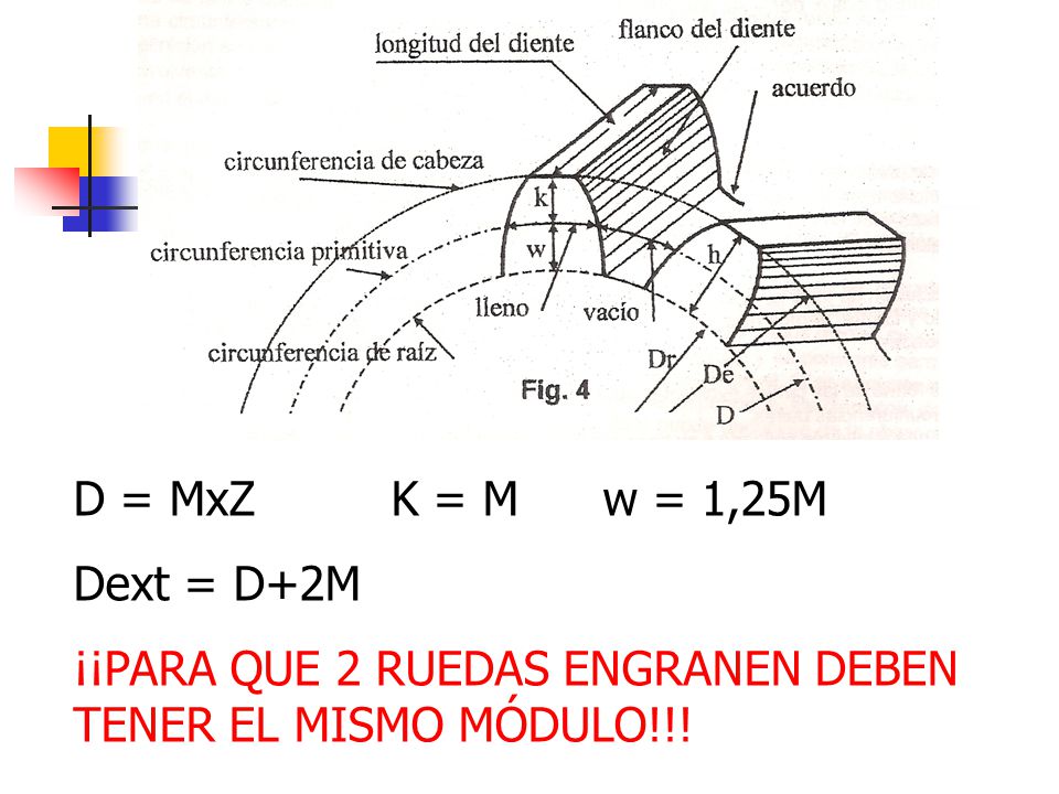 D = MxZ K = M w = 1,25M Dext = D+2M ¡¡PARA QUE 2 RUEDAS ENGRANEN DEBEN TENER EL MISMO MÓDULO!!!