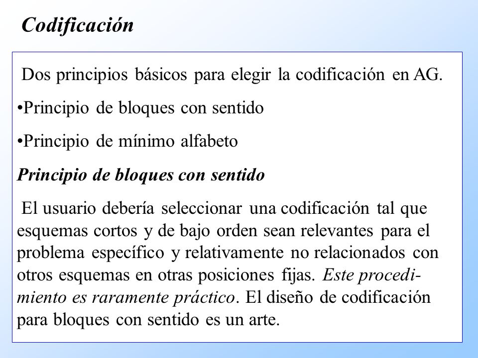 Codificación Dos principios básicos para elegir la codificación en AG.
