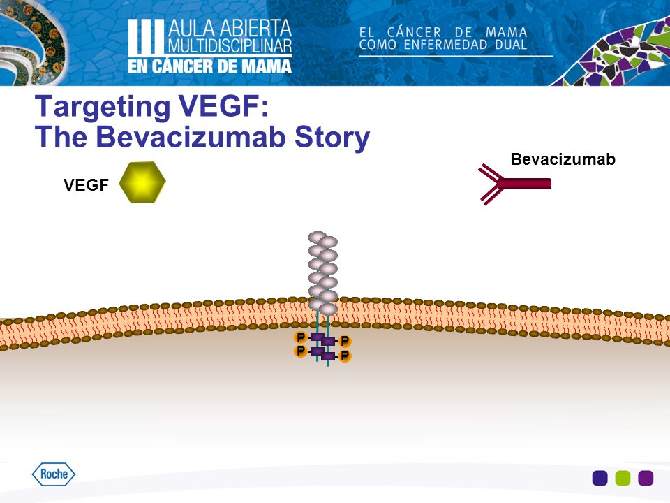 Targeting VEGF: The Bevacizumab Story