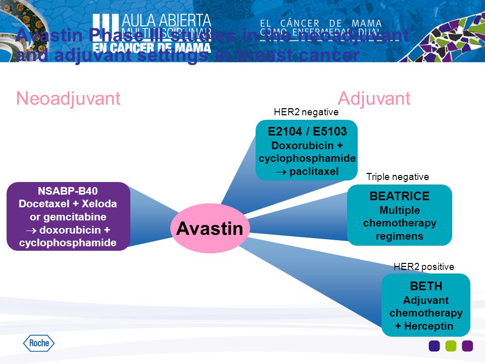 Avastin Phase III studies in the neoadjuvant and adjuvant settings in breast cancer
