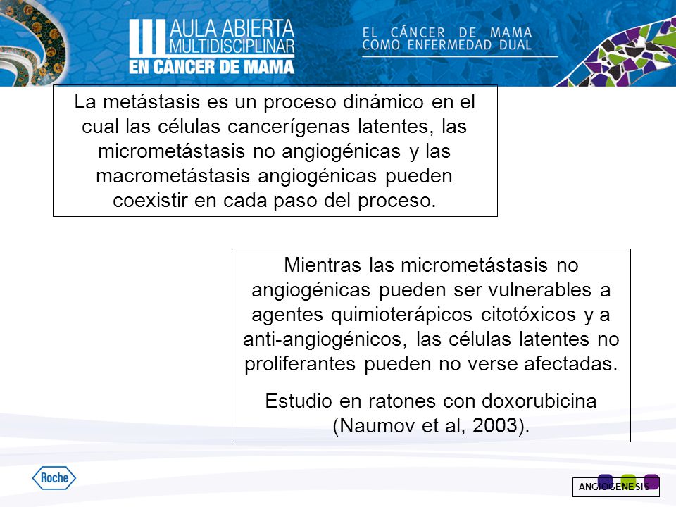 Estudio en ratones con doxorubicina (Naumov et al, 2003).