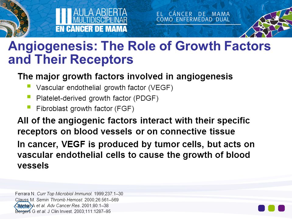Angiogenesis: The Role of Growth Factors and Their Receptors