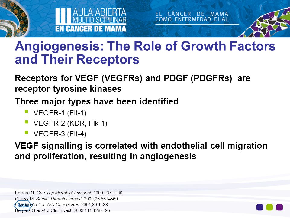 Angiogenesis: The Role of Growth Factors and Their Receptors