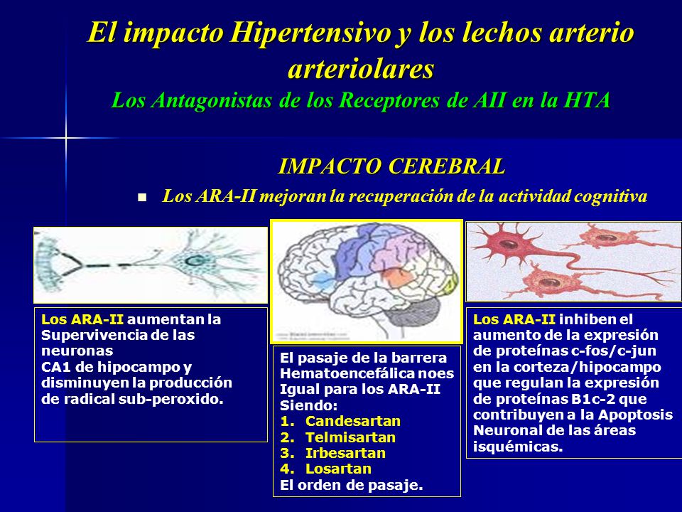 Los ARA-II mejoran la recuperación de la actividad cognitiva