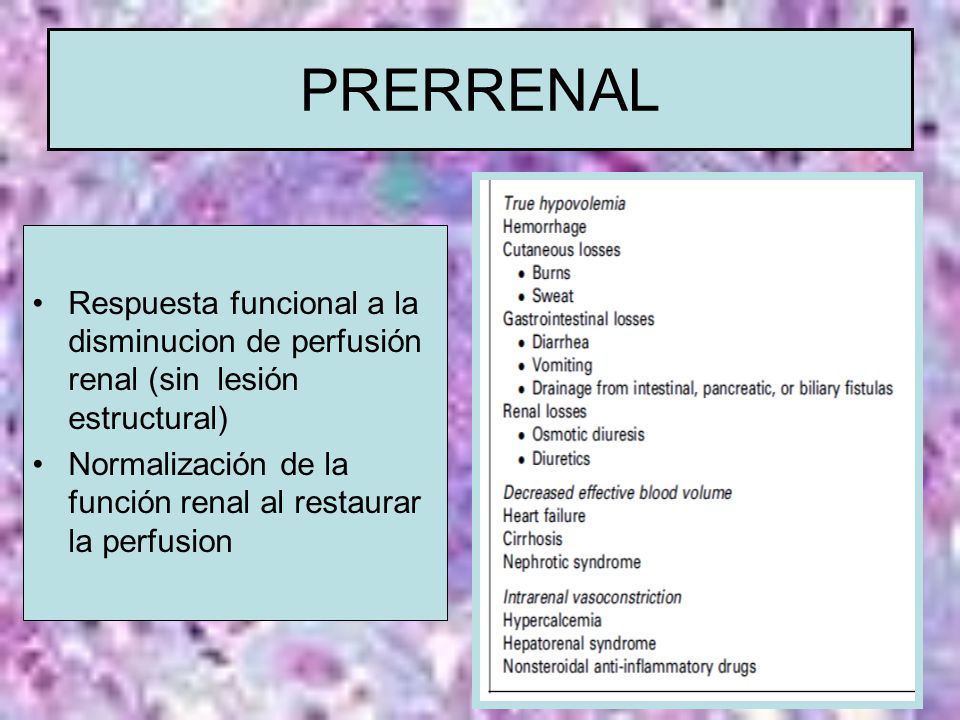 PRERRENAL Respuesta funcional a la disminucion de perfusión renal (sin lesión estructural)