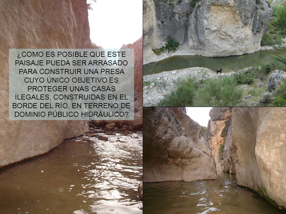 ¿COMO ES POSIBLE QUE ESTE PAISAJE PUEDA SER ARRASADO PARA CONSTRUIR UNA PRESA CUYO ÚNICO OBJETIVO ES PROTEGER UNAS CASAS ILEGALES, CONSTRUIDAS EN EL BORDE DEL RÍO, EN TERRENO DE DOMINIO PÚBLICO HIDRÁULICO