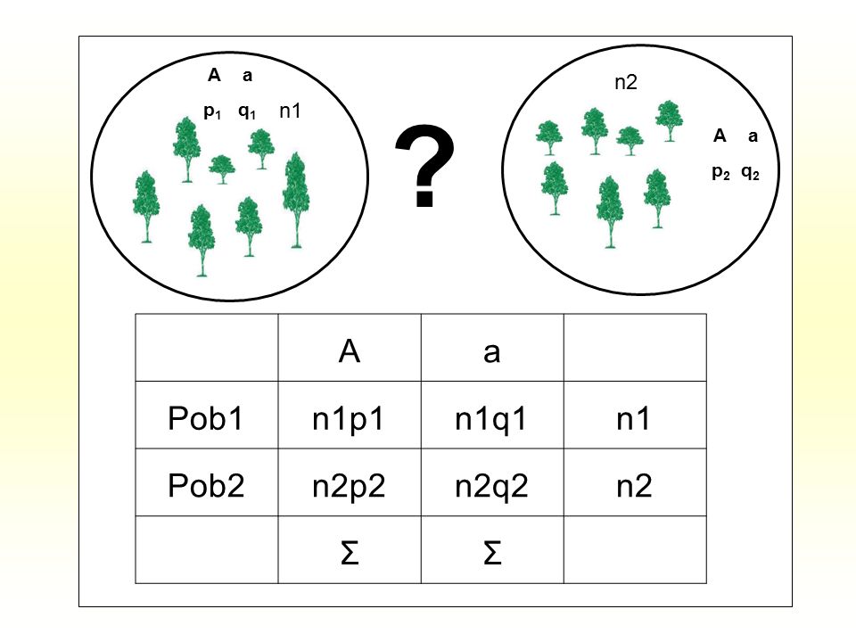 A a p1 q1 n2 n1 A a p2 q2 A a Pob1 n1p1 n1q1 n1 Pob2 n2p2 n2q2 n2 Σ