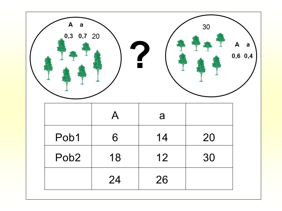 A a 0,3 0, A a 0,6 0,4 A a Pob Pob