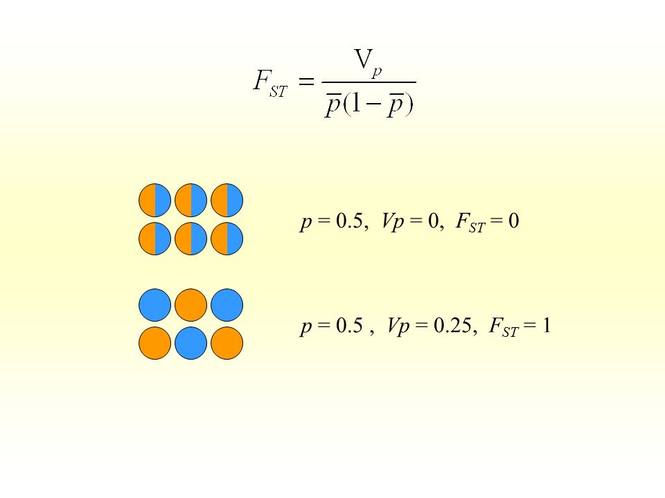 p = 0.5, Vp = 0, FST = 0 p = 0.5 , Vp = 0.25, FST = 1