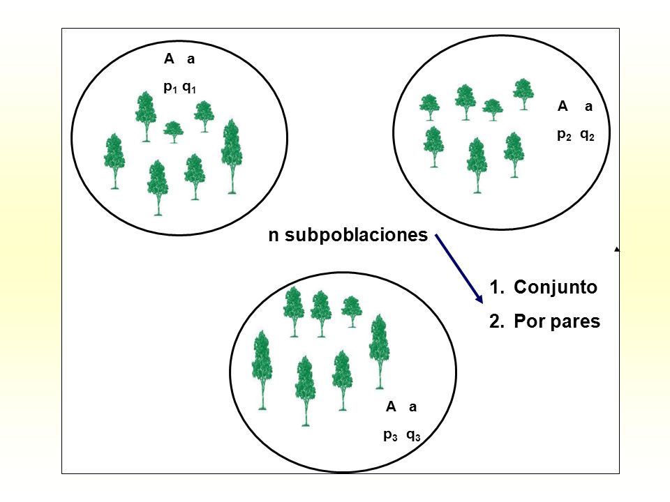 A a p1 q1 A a p2 q2 p3 q3 n subpoblaciones Conjunto Por pares