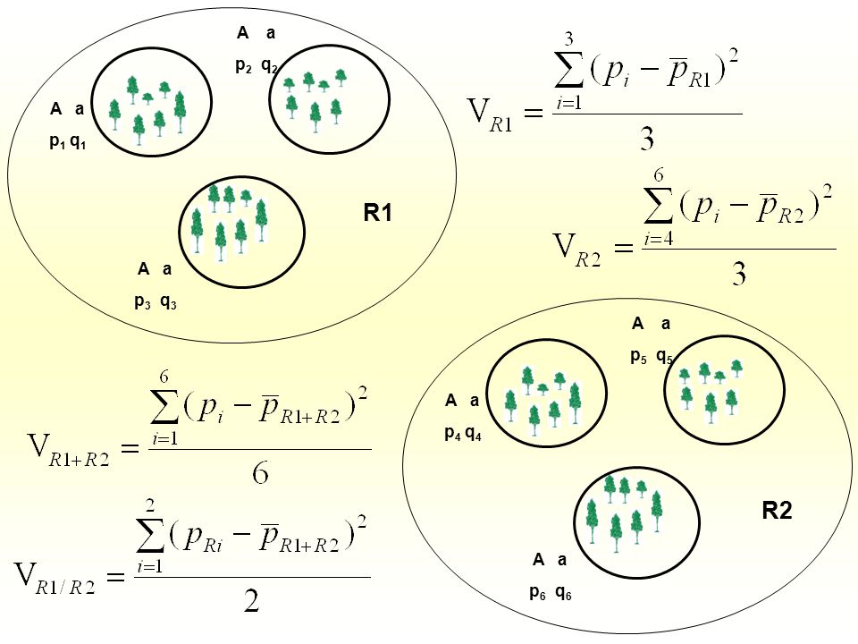 A a p2 q2 A a p1 q1 R1 A a p3 q3 A a p5 q5 A a p4 q4 R2 A a p6 q6