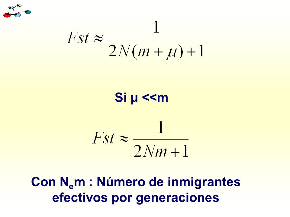 Con Nem : Número de inmigrantes efectivos por generaciones