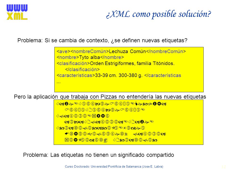 ¿XML como posible solución