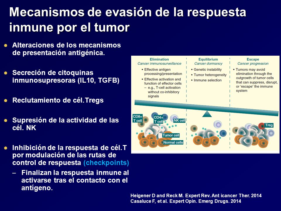 Mecanismos de evasión de la respuesta inmune por el tumor