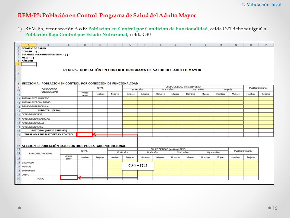 REM-P5: Población en Control Programa de Salud del Adulto Mayor