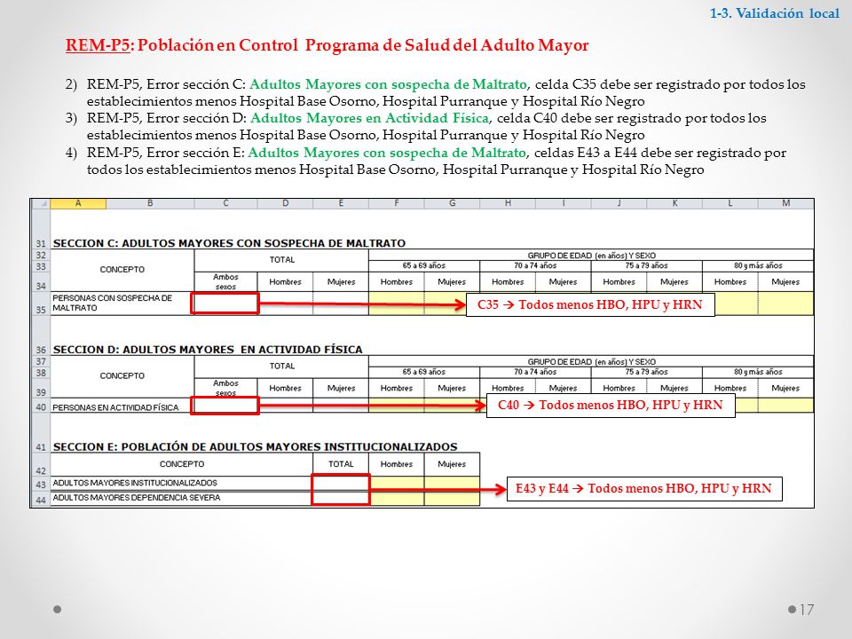 REM-P5: Población en Control Programa de Salud del Adulto Mayor