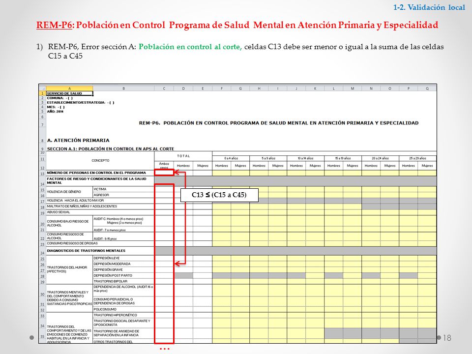 1-2. Validación local REM-P6: Población en Control Programa de Salud Mental en Atención Primaria y Especialidad.