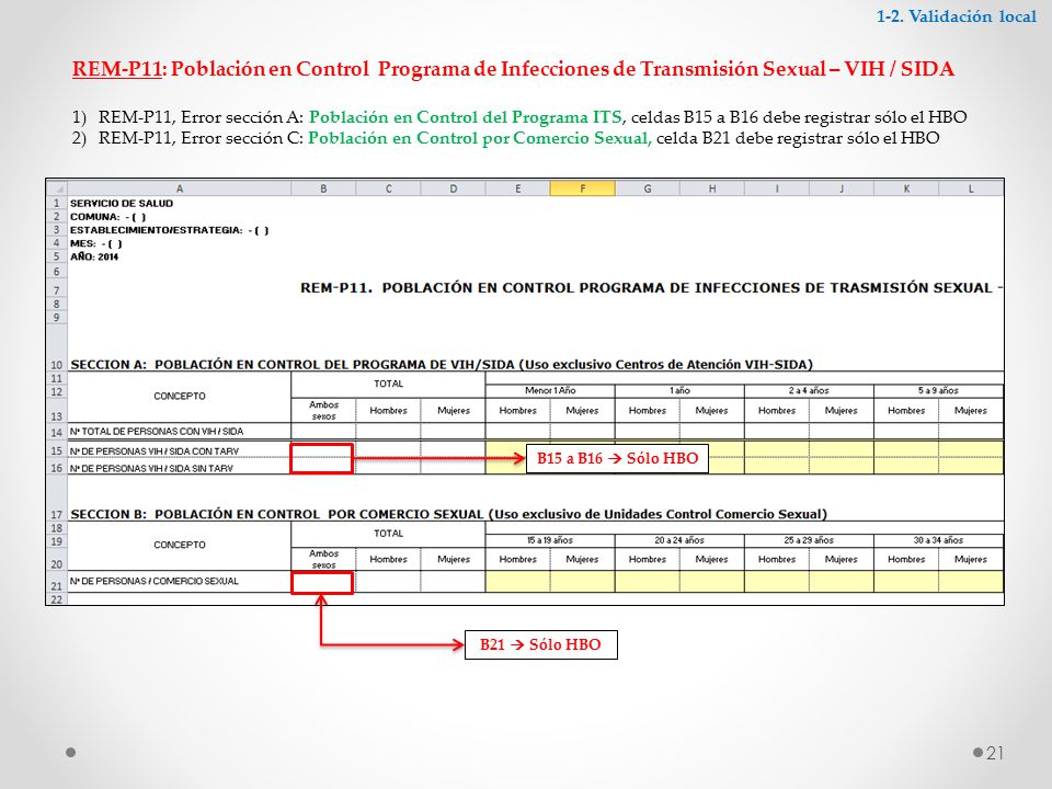 1-2. Validación local REM-P11: Población en Control Programa de Infecciones de Transmisión Sexual – VIH / SIDA.