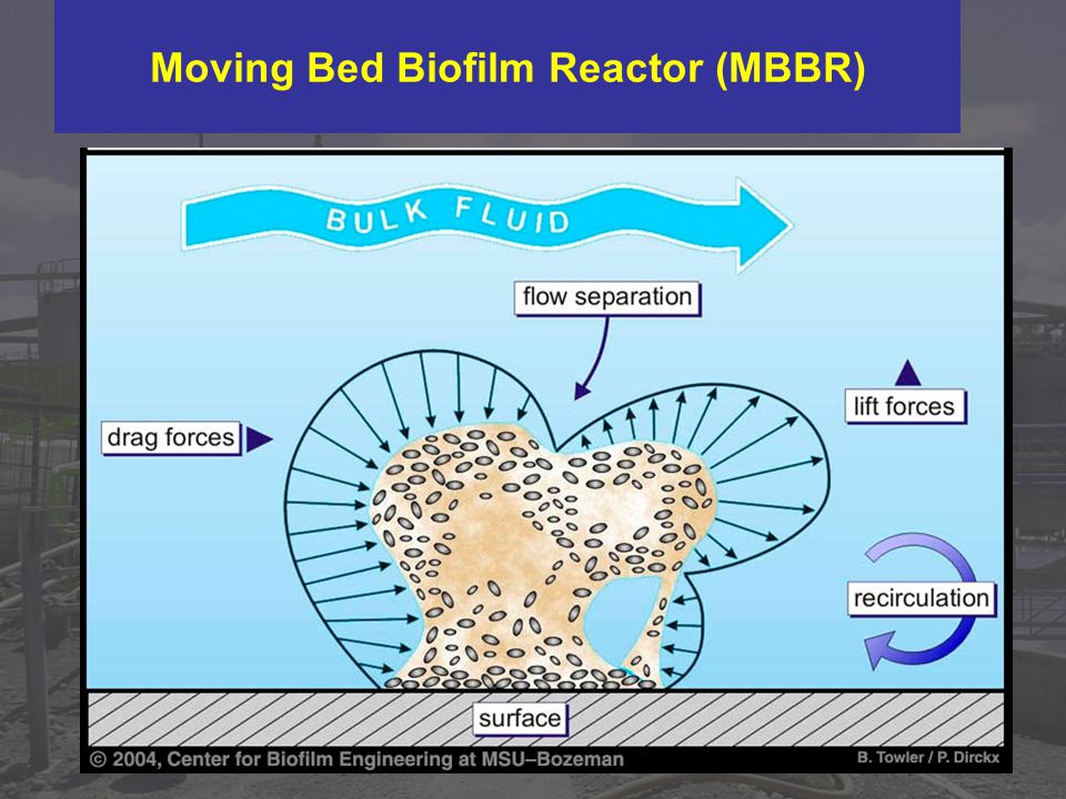 Moving Bed Biofilm Reactor (MBBR)