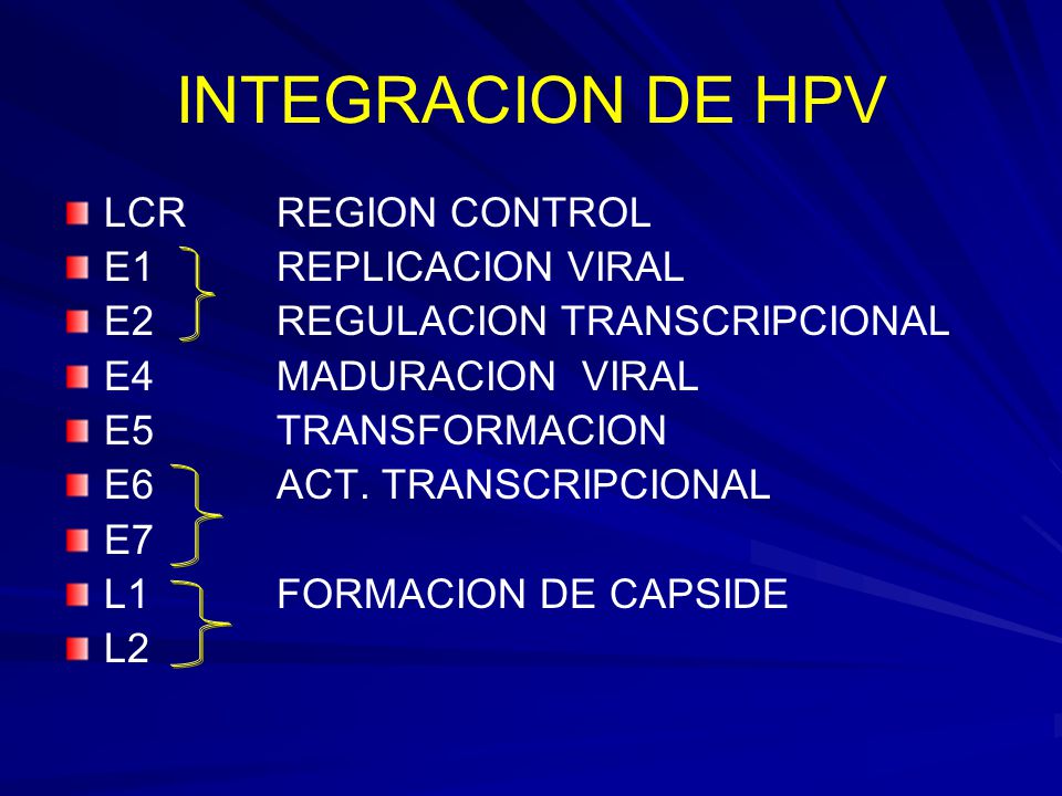 INTEGRACION DE HPV LCR REGION CONTROL E1 REPLICACION VIRAL