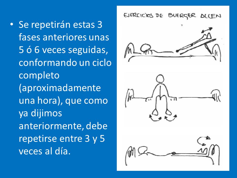 Se repetirán estas 3 fases anteriores unas 5 ó 6 veces seguidas, conformando un ciclo completo (aproximadamente una hora), que como ya dijimos anteriormente, debe repetirse entre 3 y 5 veces al día.