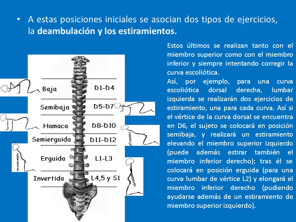 A estas posiciones iniciales se asocian dos tipos de ejercicios, la deambulación y los estiramientos.