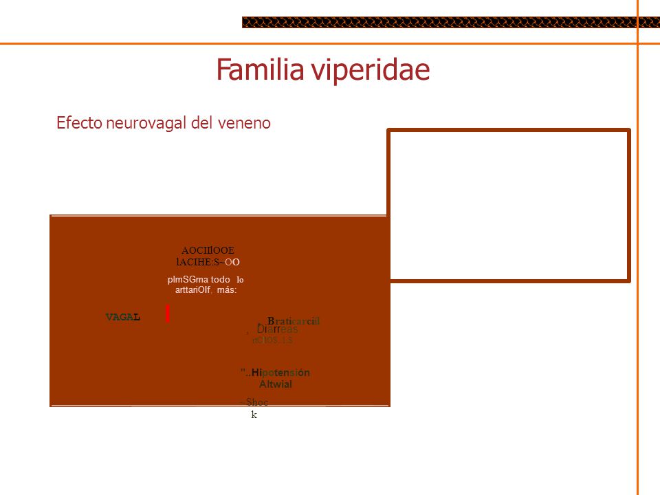 Familia viperidae VAGAL I , Braticarciíl Efecto neurovagal del veneno