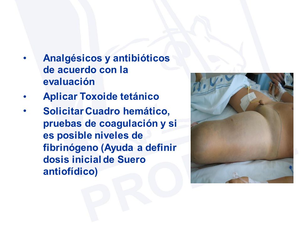• Analgésicos y antibióticos. de acuerdo con la. evaluación. Aplicar Toxoide tetánico.