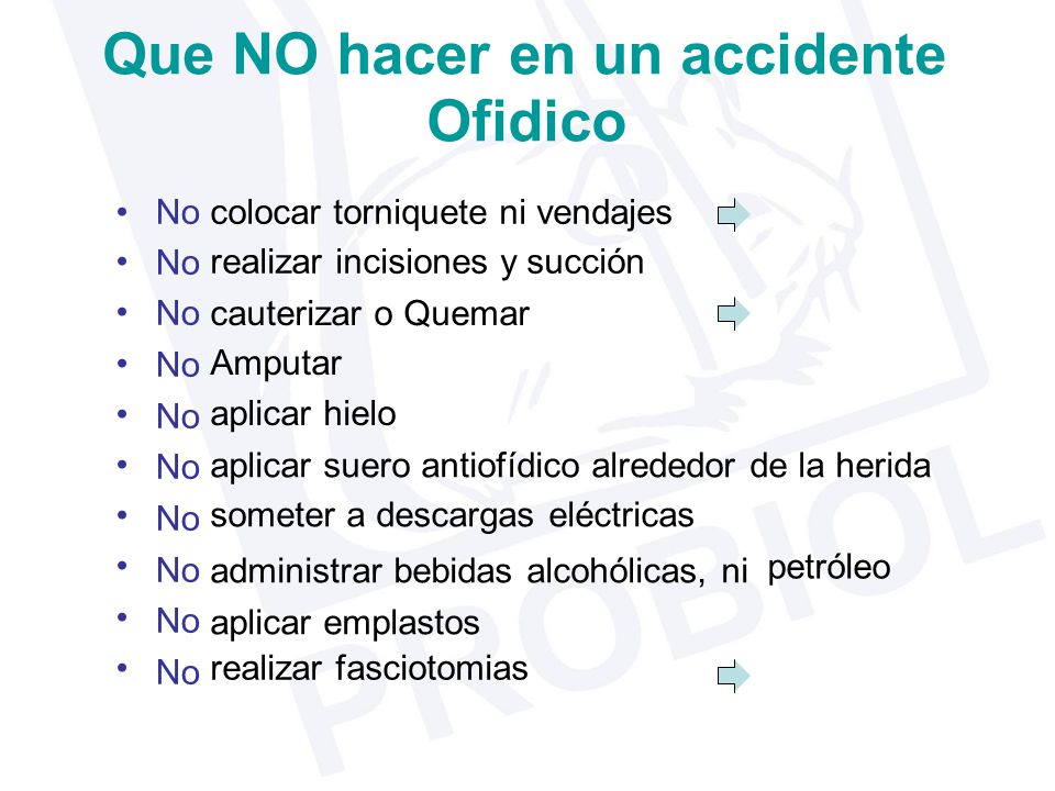 Que NO hacer en un accidente Ofidico • No colocar realizar