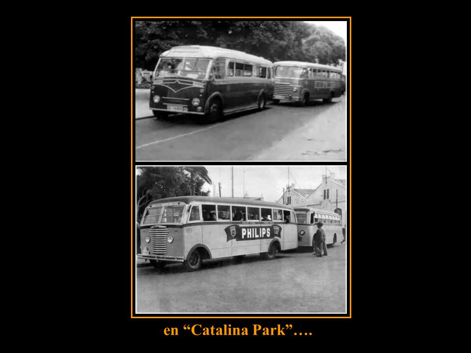 en Catalina Park ….