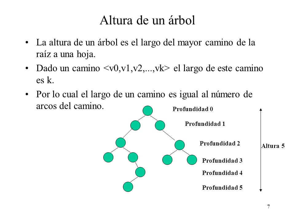 Altura de un árbol La altura de un árbol es el largo del mayor camino de la raíz a una hoja.