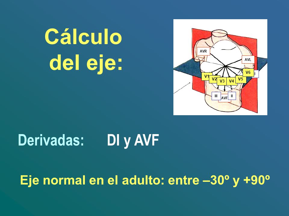 Eje normal en el adulto: entre –30º y +90º