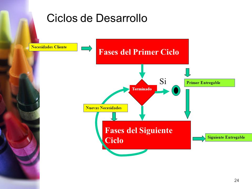 Ciclos de Desarrollo Fases del Primer Ciclo Si No Fases del Siguiente