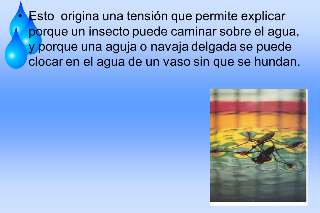 Esto origina una tensión que permite explicar porque un insecto puede caminar sobre el agua, y porque una aguja o navaja delgada se puede clocar en el agua de un vaso sin que se hundan.