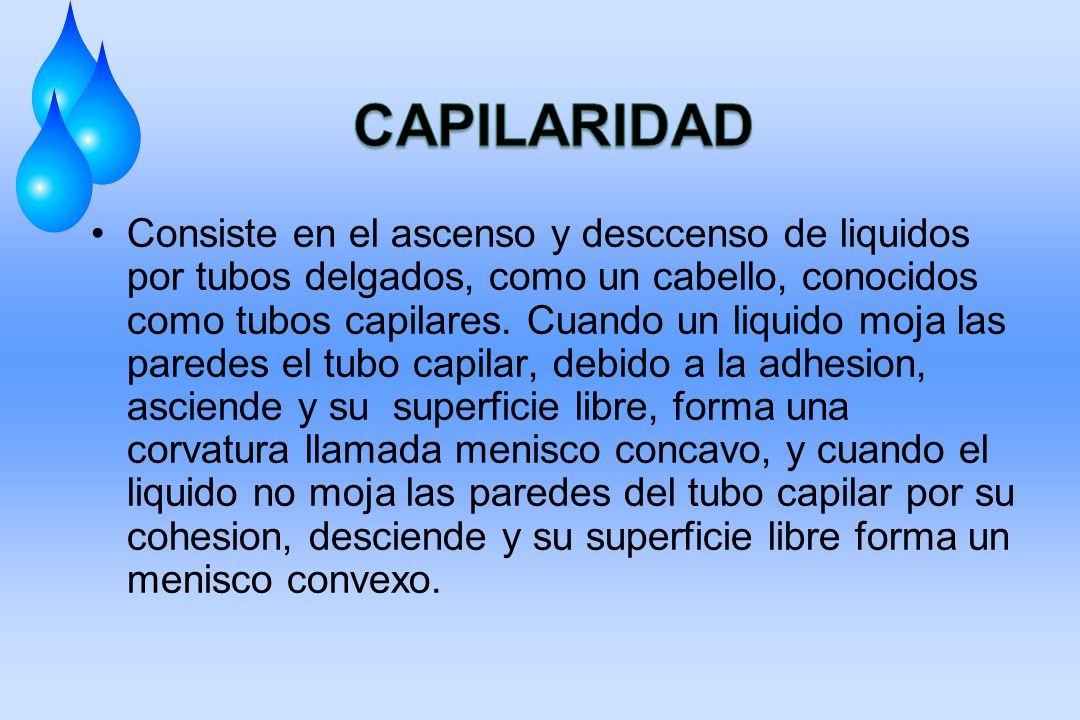 CAPILARIDAD