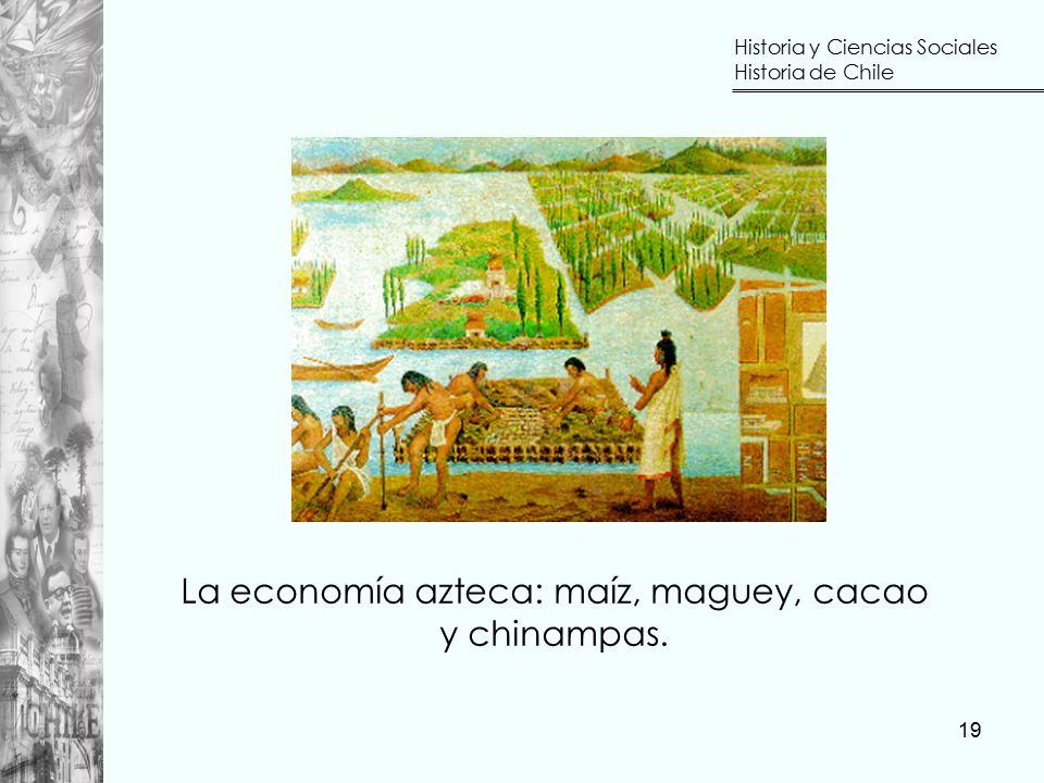 La economía azteca: maíz, maguey, cacao y chinampas.