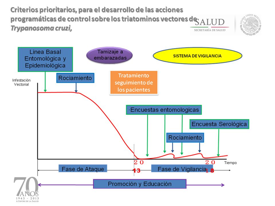 Criterios prioritarios, para el desarrollo de las acciones programáticas de control sobre los triatominos vectores de Trypanosoma cruzi,