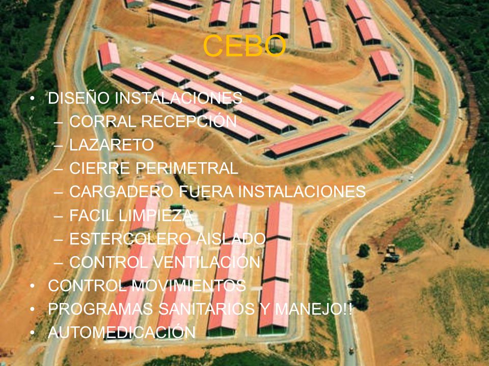 CEBO DISEÑO INSTALACIONES CORRAL RECEPCIÓN LAZARETO CIERRE PERIMETRAL