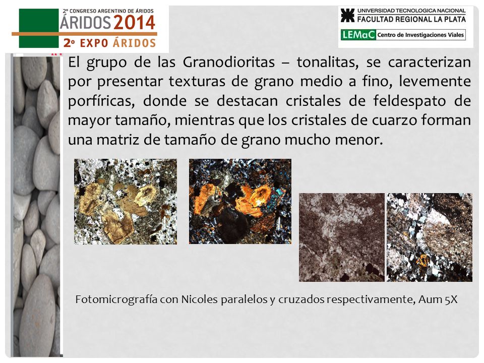 El grupo de las Granodioritas – tonalitas, se caracterizan por presentar texturas de grano medio a fino, levemente porfíricas, donde se destacan cristales de feldespato de mayor tamaño, mientras que los cristales de cuarzo forman una matriz de tamaño de grano mucho menor.