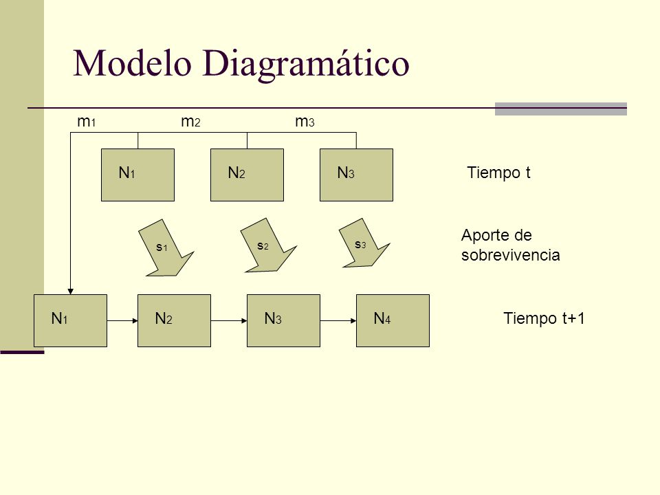Modelos Matriciales Modelo de Leslie. - ppt descargar