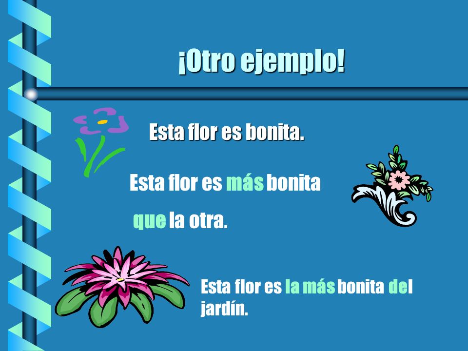 ¡Otro ejemplo! Esta flor es bonita. Esta flor es más bonita