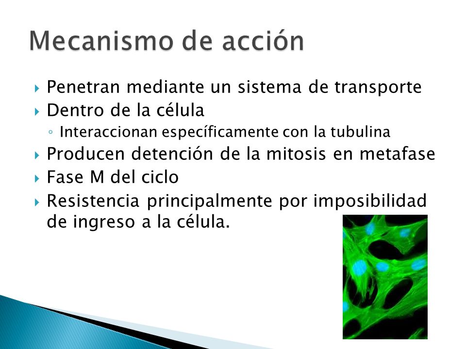 Mecanismo de acción Penetran mediante un sistema de transporte