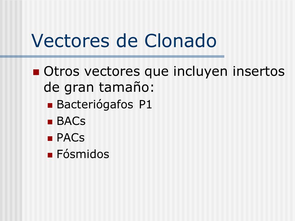 Vectores de Clonado Otros vectores que incluyen insertos de gran tamaño: Bacteriógafos P1. BACs. PACs.