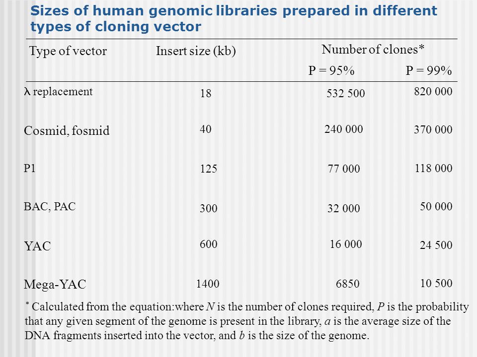 Sizes of human genomic libraries prepared in different types of cloning vector