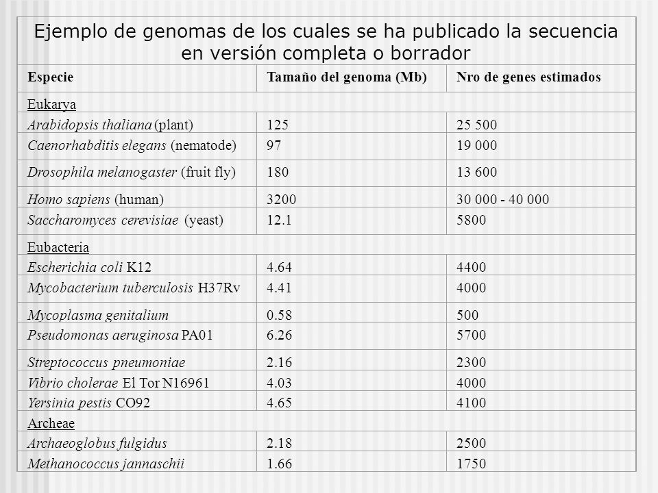 Ejemplo de genomas de los cuales se ha publicado la secuencia en versión completa o borrador