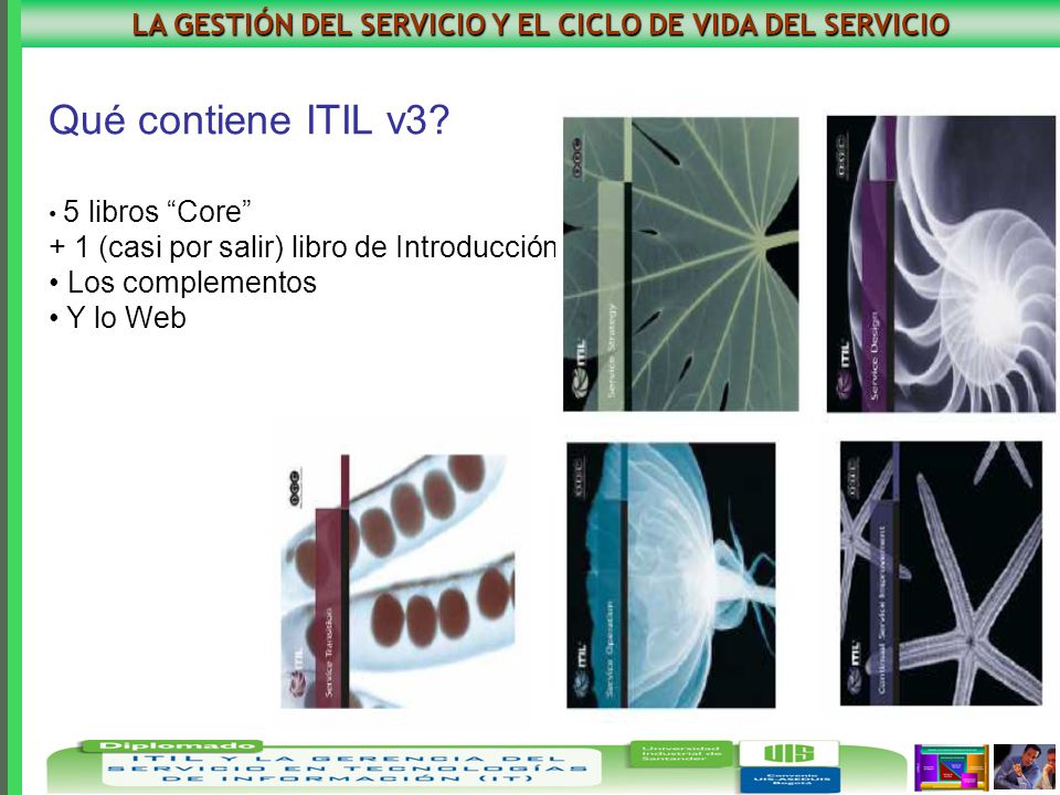 LA GESTIÓN DEL SERVICIO Y EL CICLO DE VIDA DEL SERVICIO