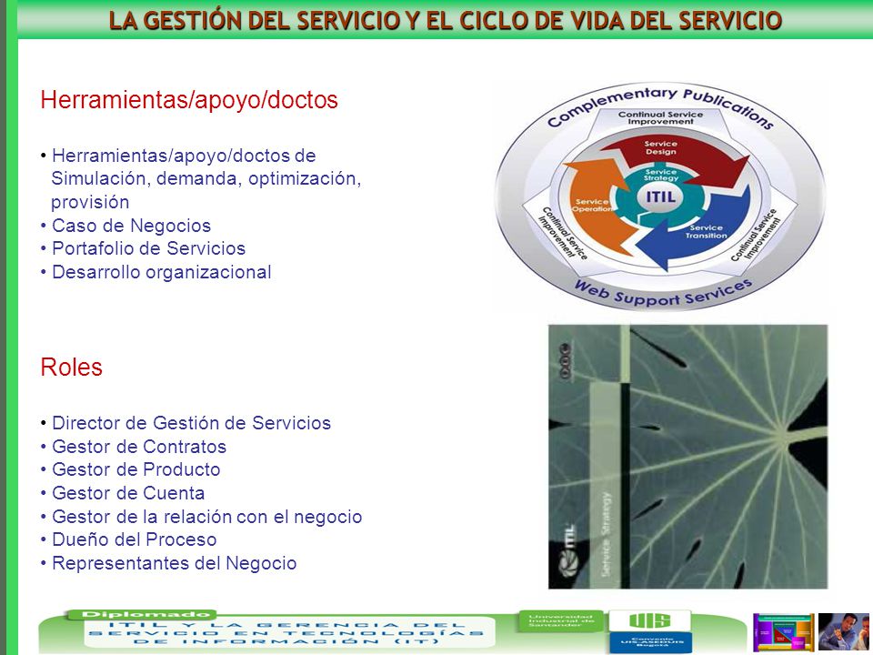 LA GESTIÓN DEL SERVICIO Y EL CICLO DE VIDA DEL SERVICIO