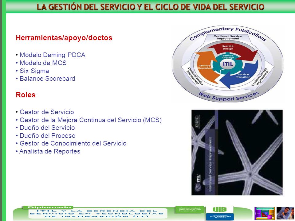 LA GESTIÓN DEL SERVICIO Y EL CICLO DE VIDA DEL SERVICIO