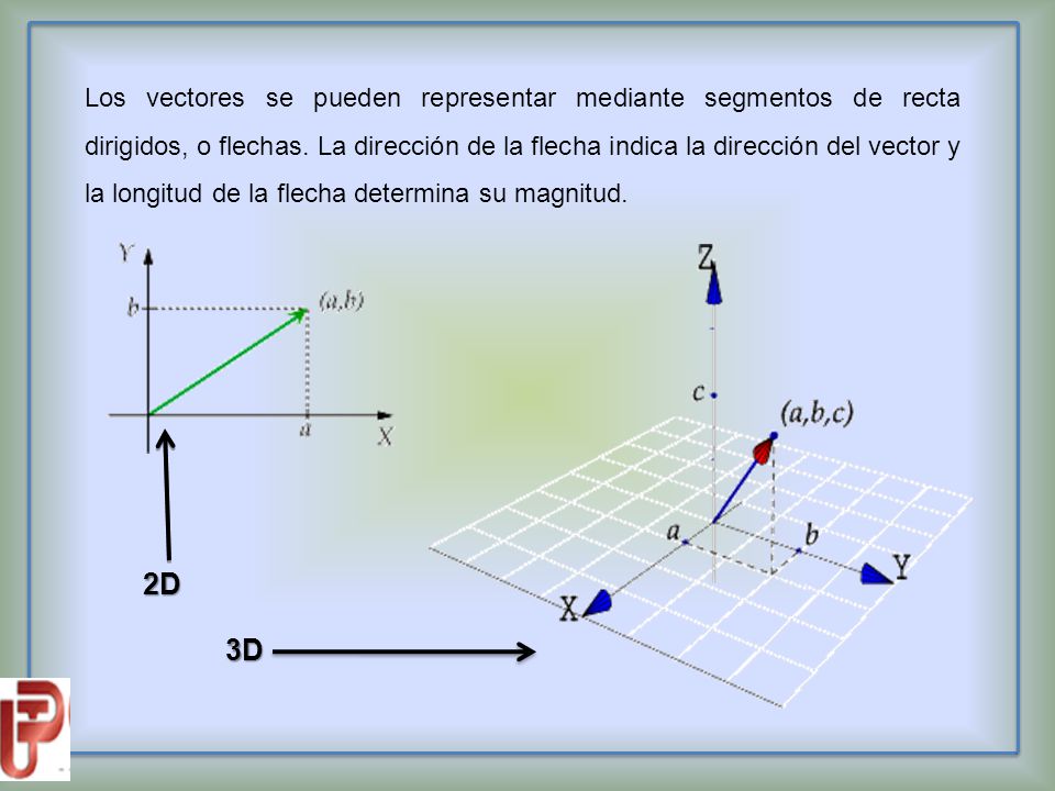 Los vectores se pueden representar mediante segmentos de recta dirigidos, o flechas. La dirección de la flecha indica la dirección del vector y la longitud de la flecha determina su magnitud.